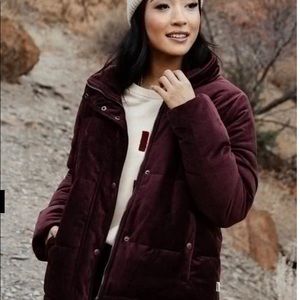 Bohme velvet puffer jacket in Wine